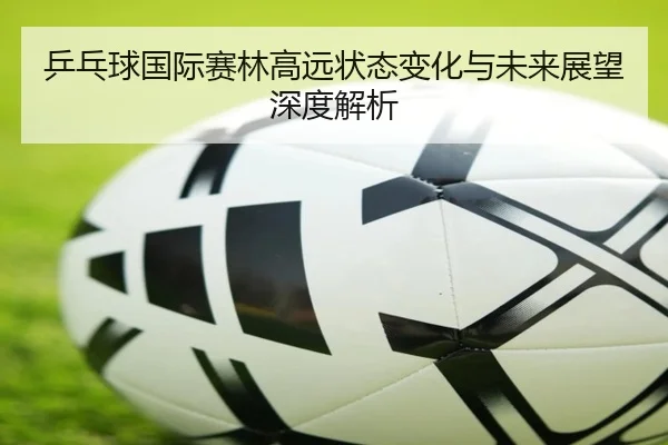 乒乓球国际赛林高远状态变化与未来展望深度解析